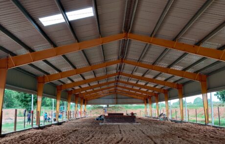 cow shed with yellow member